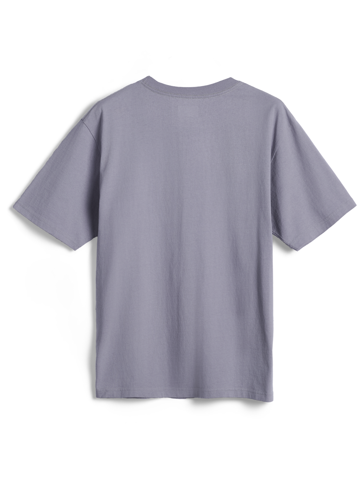 Alpinestars Essentials Ageless SS Tee, t-shirt a maniche corte, Silver, vista posteriore, design semplice, vestibilità rilassata, streetwear casual in cotone biologico