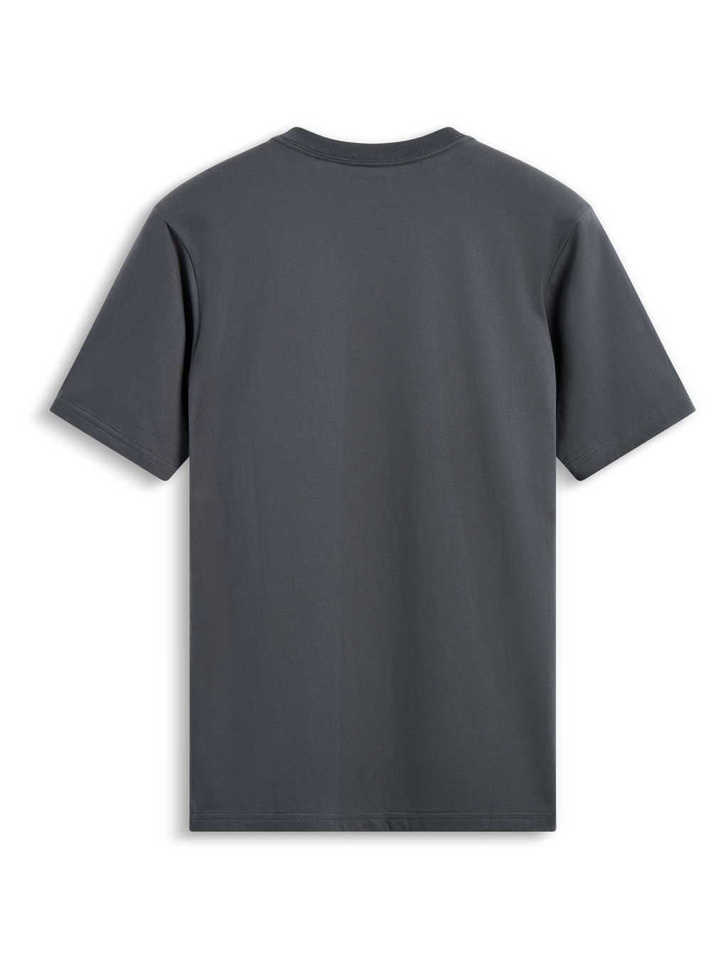 Alpinestars Always 2.0 CSF Tee, t-shirt a maniche corte, grigio antracite, vista posteriore semplice, streetwear casual ispirato al motorsport