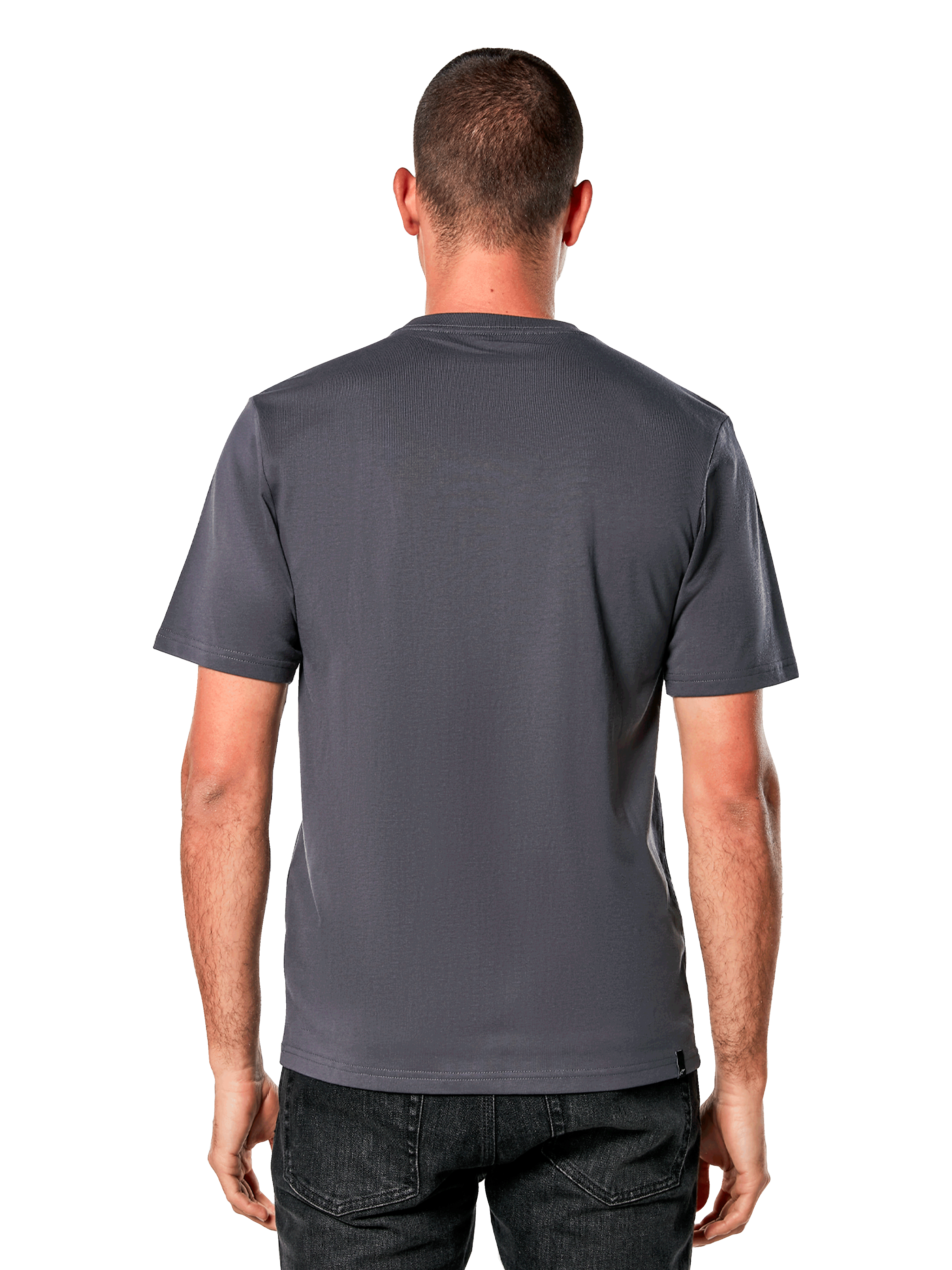 Alpinestars Galun CSF Tee, maglietta a maniche corte, grigio, vista posteriore, indossata con jeans neri, streetwear casual motorsport