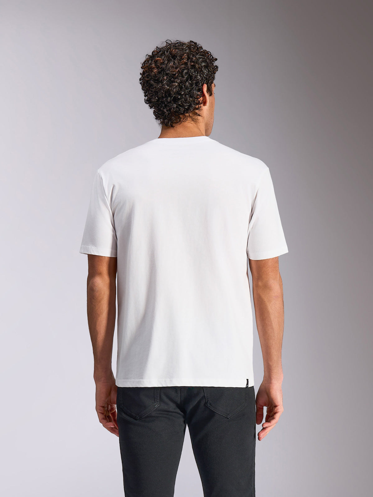 Alpinestars Plate CSF Tee, t-shirt a maniche corte, bianco, vista posteriore, indossata con pantaloni neri, streetwear casual motorsport
