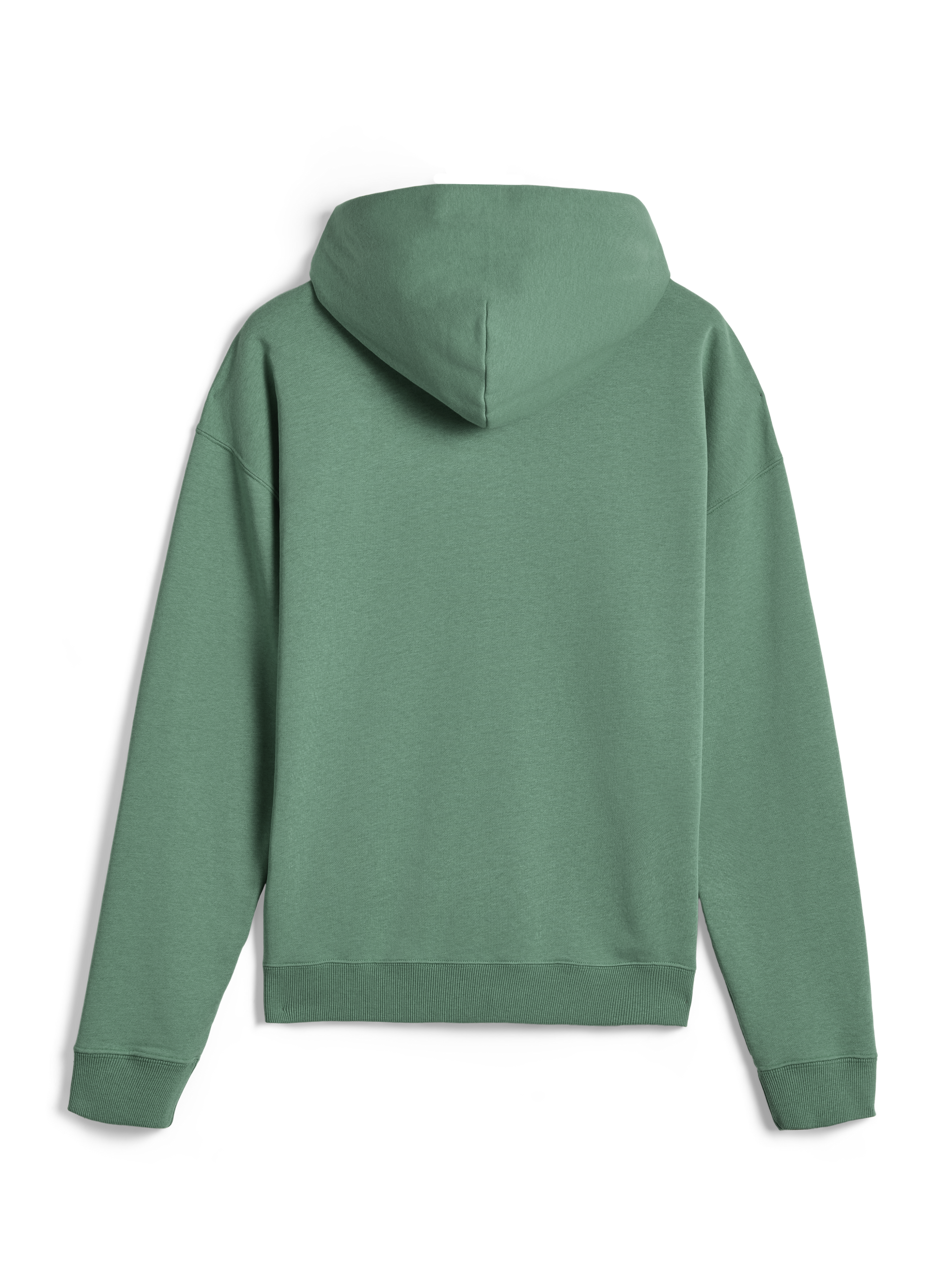 Felpa con cappuccio Alpinestars Essentials Ageless, streetwear casual, verde Cactus, vista posteriore, maniche lunghe, pullover con cappuccio con polsini e orlo a costine, design minimalista e pulito