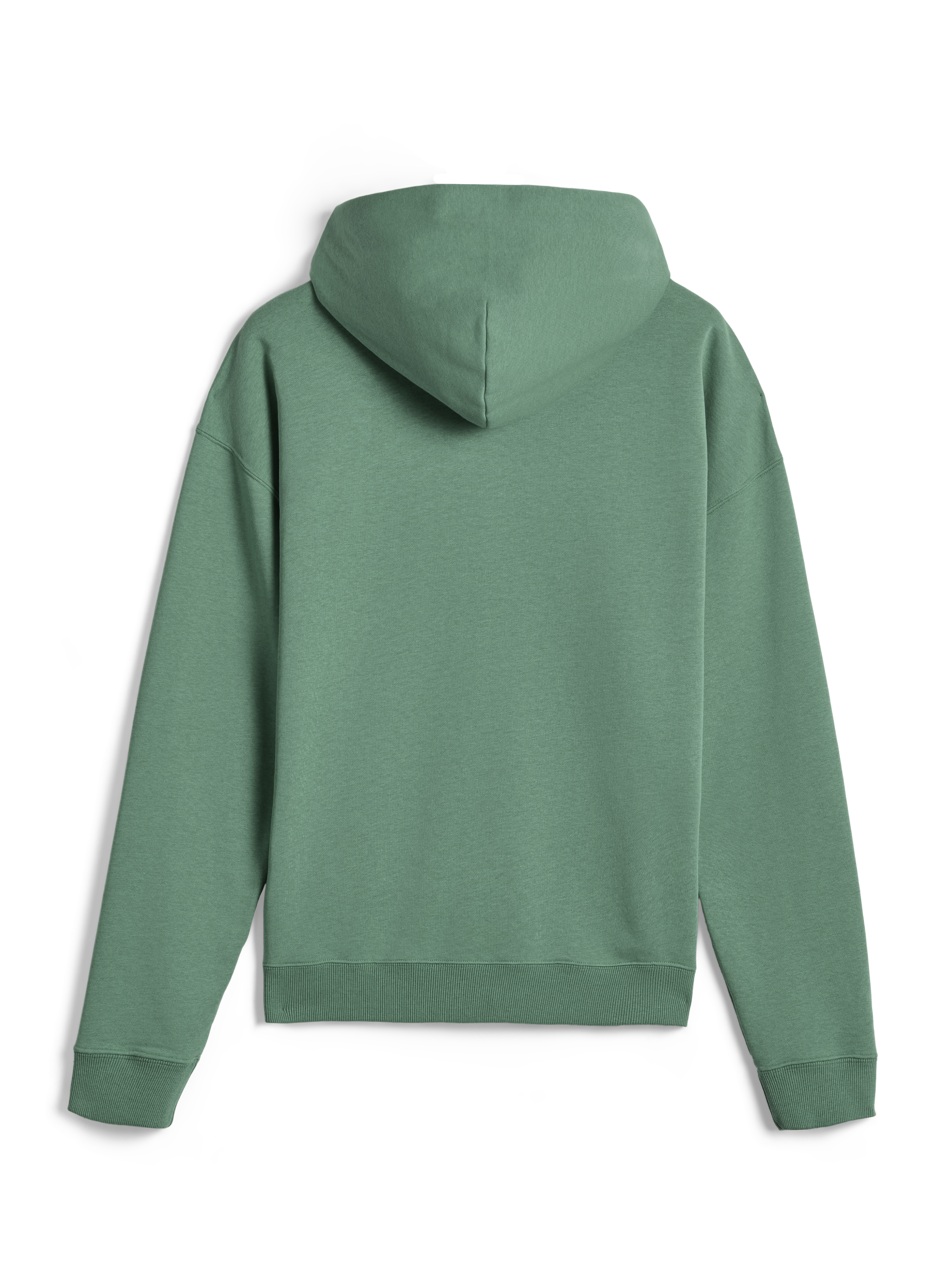 Felpa con cappuccio Alpinestars Essentials Ageless, streetwear casual, verde Cactus, vista posteriore, maniche lunghe, pullover con cappuccio con polsini e orlo a costine, design minimalista e pulito