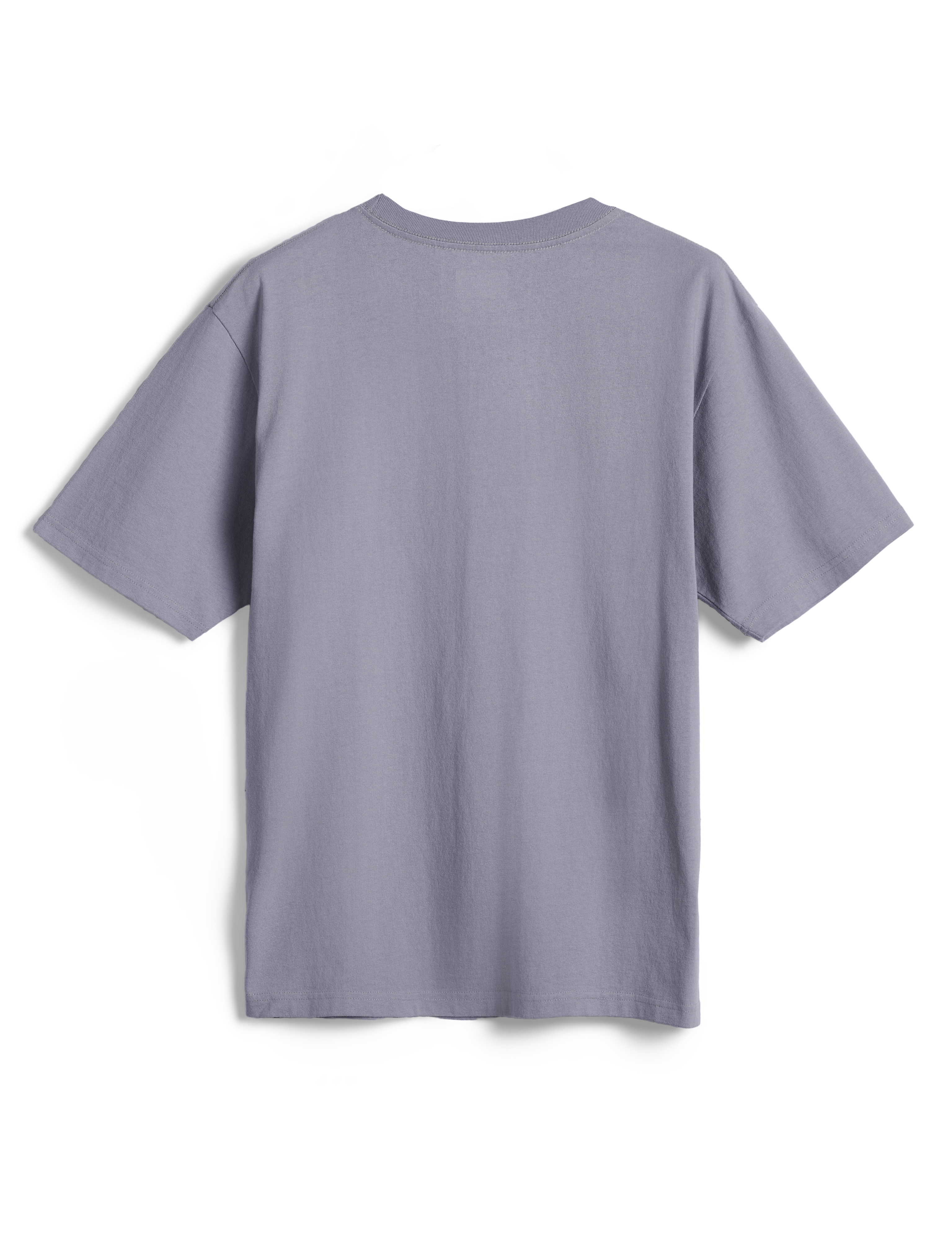 Alpinestars Essentials Ageless SS Tee, t-shirt a maniche corte, Silver, vista posteriore, design semplice, vestibilità rilassata, streetwear casual in cotone biologico