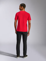 Maglia Q3 CSF - Manica Corta