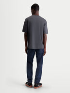 Alpinestars maglietta Chalk Oversized CSF, maglietta da uomo grigia scura, vestibilità oversize, vista posteriore su un modello, abbigliamento motorsport lifestyle.