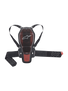 Paraschiena Nucleon KR-1 Cell