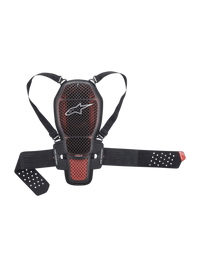Paraschiena Nucleon KR-1 Cell