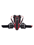 Paraschiena Nucleon Kr-3