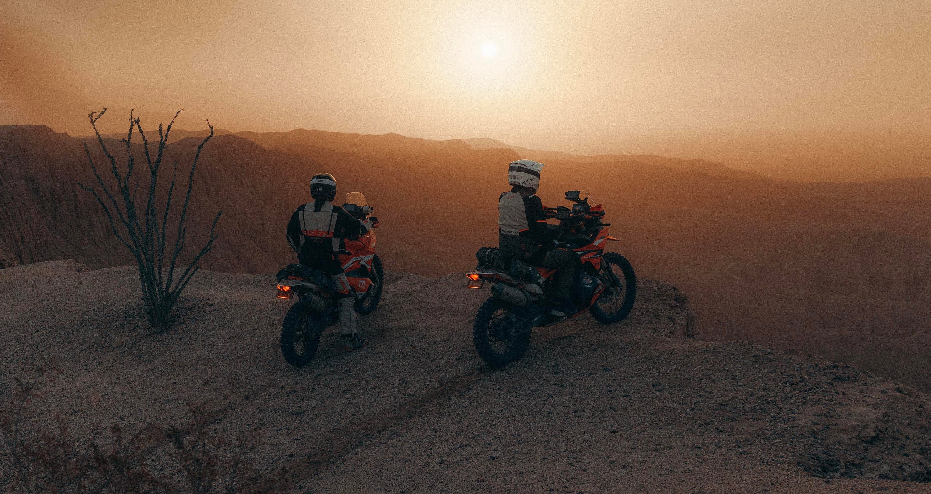 Image 68253724311930