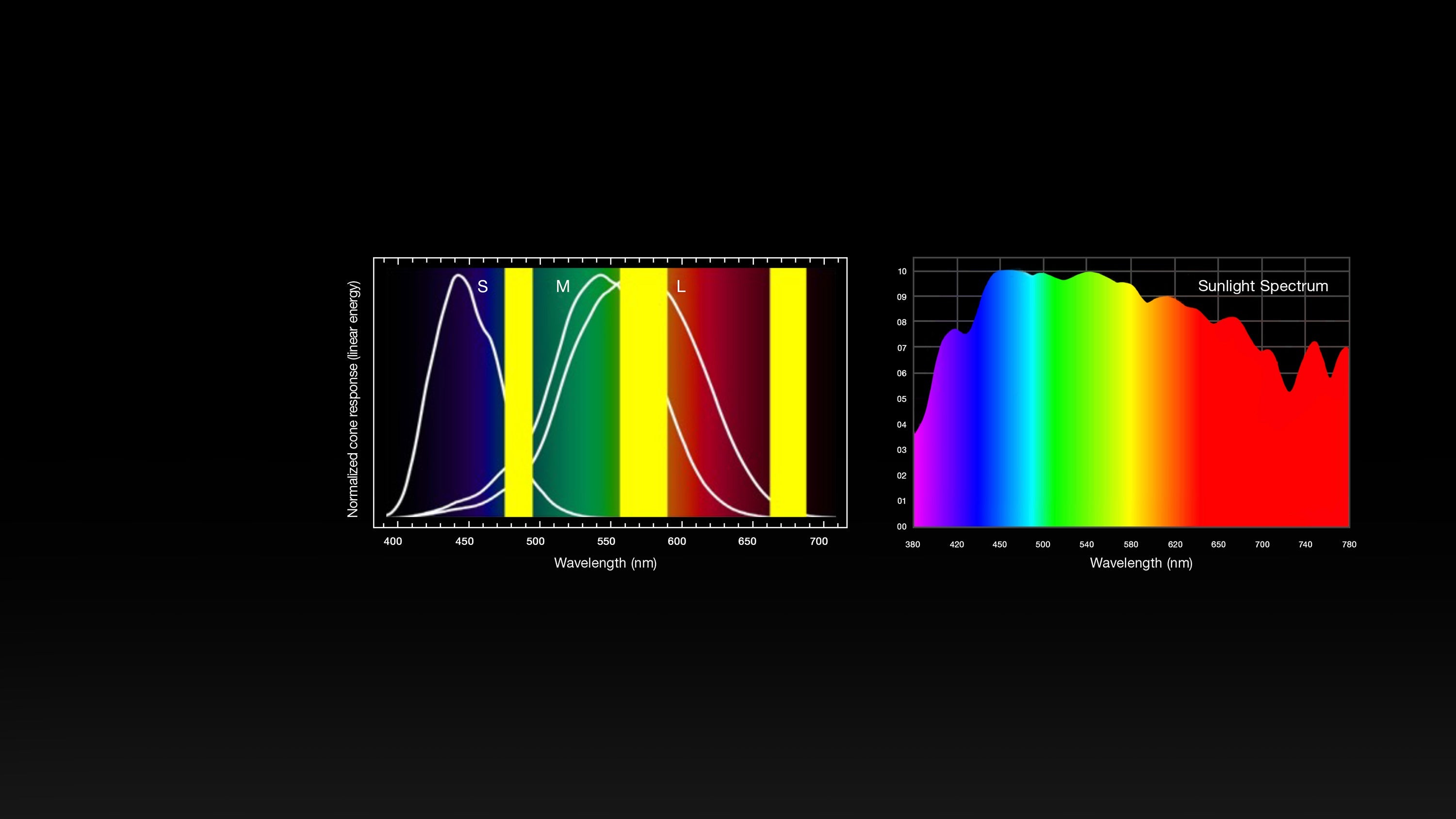 SKIP - Non-product image (reason: technical infographic showing light spectrum and cone response graphs)